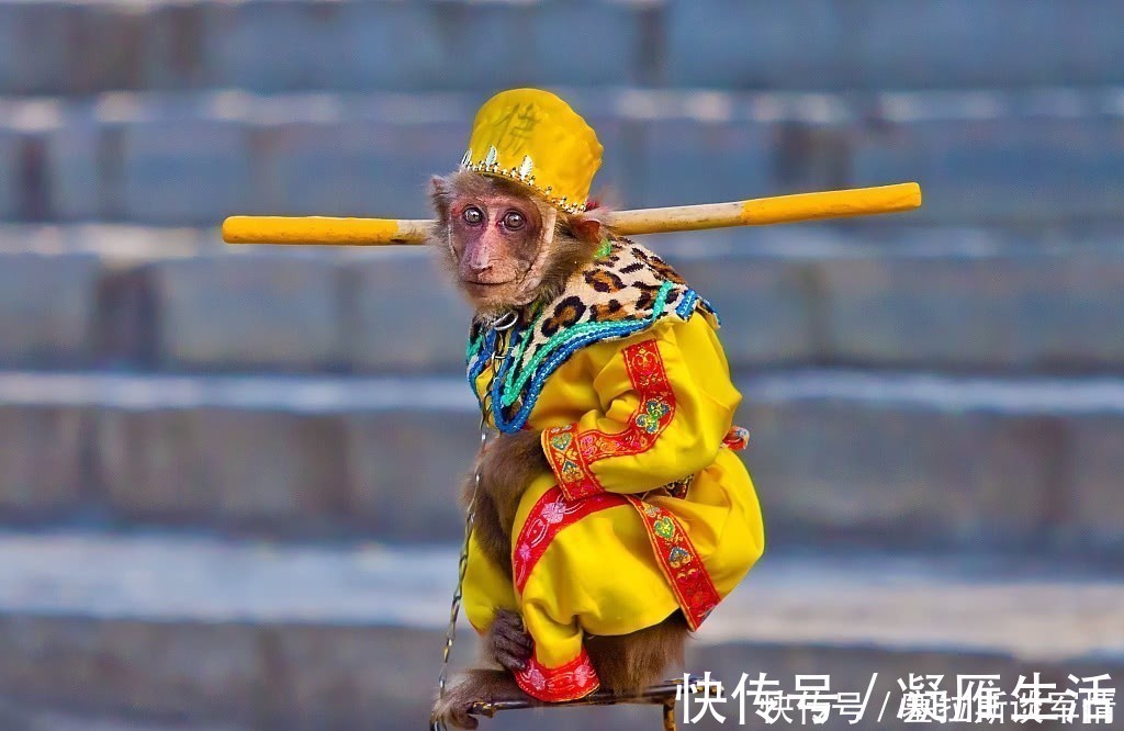 西游记|它是西域古国,也是《西游记》中乌鸡国的原型,境内真有流沙河