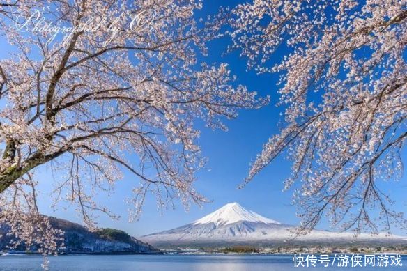 让人挪不开眼！日本富士山的四季美景 绝美风光一览