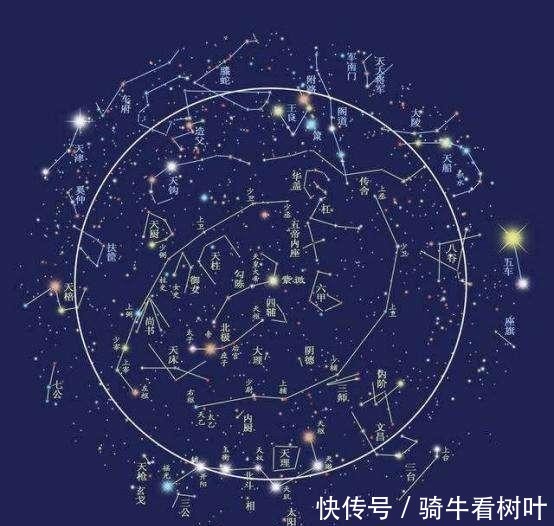 青龙白虎朱雀玄武四神兽 到底谁才是真正的老大 您知道吗 快资讯 青龙白虎朱雀玄武四神兽 到底谁才是真正的老大 您知道吗 快资讯