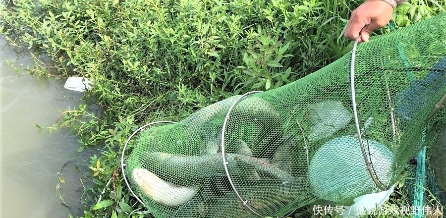 南风|钓鱼看风辩鱼口就是大师?其实你也能做到