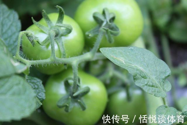 无根豆芽|8种不宜常吃的蔬菜，南瓜排最后，排首位的不少人或许天天吃