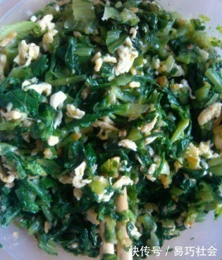 深秋，这菜要多吃，包饺子最合适，比韭菜嫩比肉馅香，天天吃不够