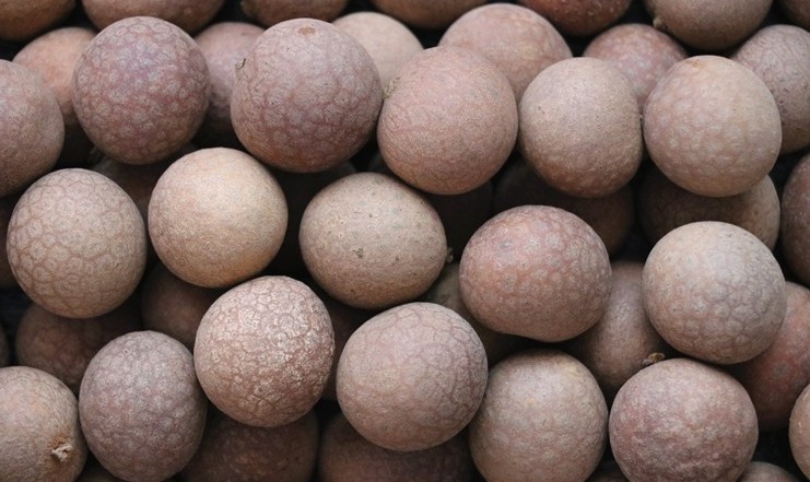 桂圆干|8月要常吃桂圆，教你正确吃法，好吃不上火，气色差的人多吃点