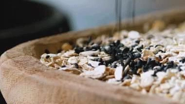 面团|注意这4种面包一定少买,烘焙师只有不懂的人才会吃