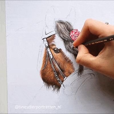  美女|一匹马画了16年！美女学渣逆袭成功，坚持下来很酷！