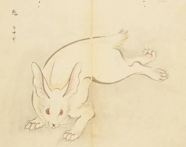  演习|诗经中的这首诗绘声绘色，看似是描写打猎，其实是演习的盛大场面