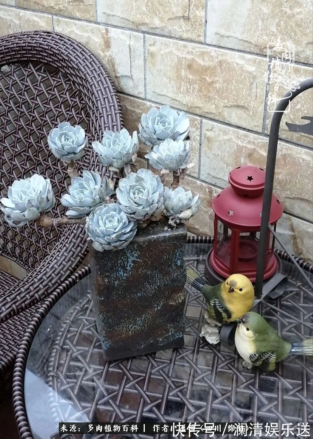 一定要爱着点什么,恰是草木对光阴的柔情!