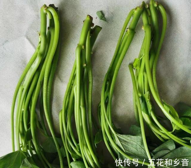  以前没人吃这道菜，但他是“碱性食物”，如果你吃得更多