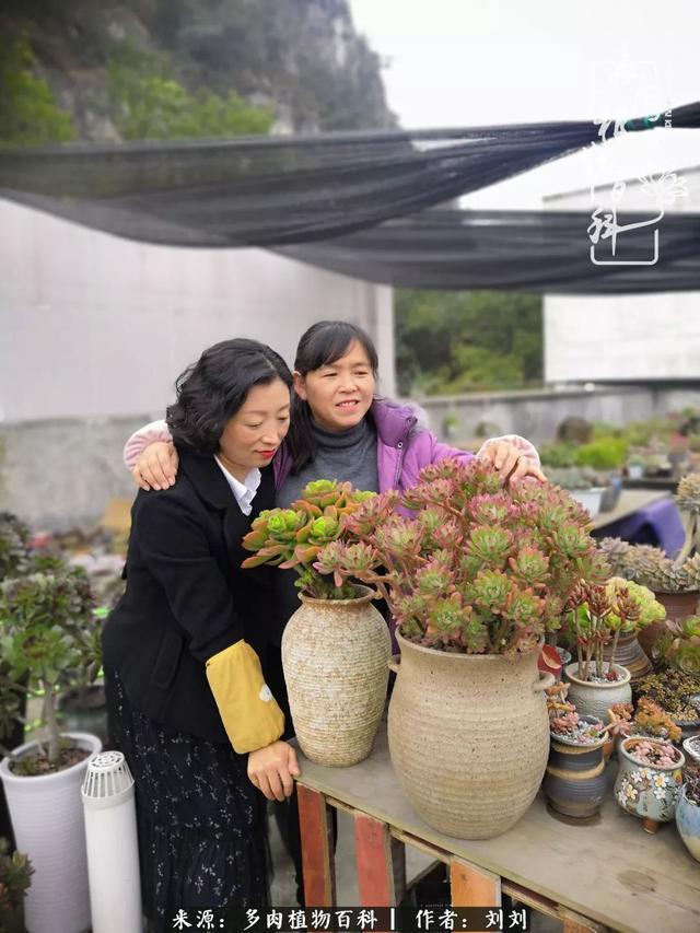 爱多肉，爱生活，我们是一群快乐的养肉人！