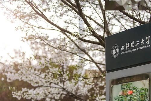 2021湖北省大学排名出炉！华武进全国前十，海工大竟不敌武科大？