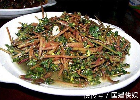 野菜|消化不良可多吃3种路边野草，促进消化还能够清热解毒，好处多多