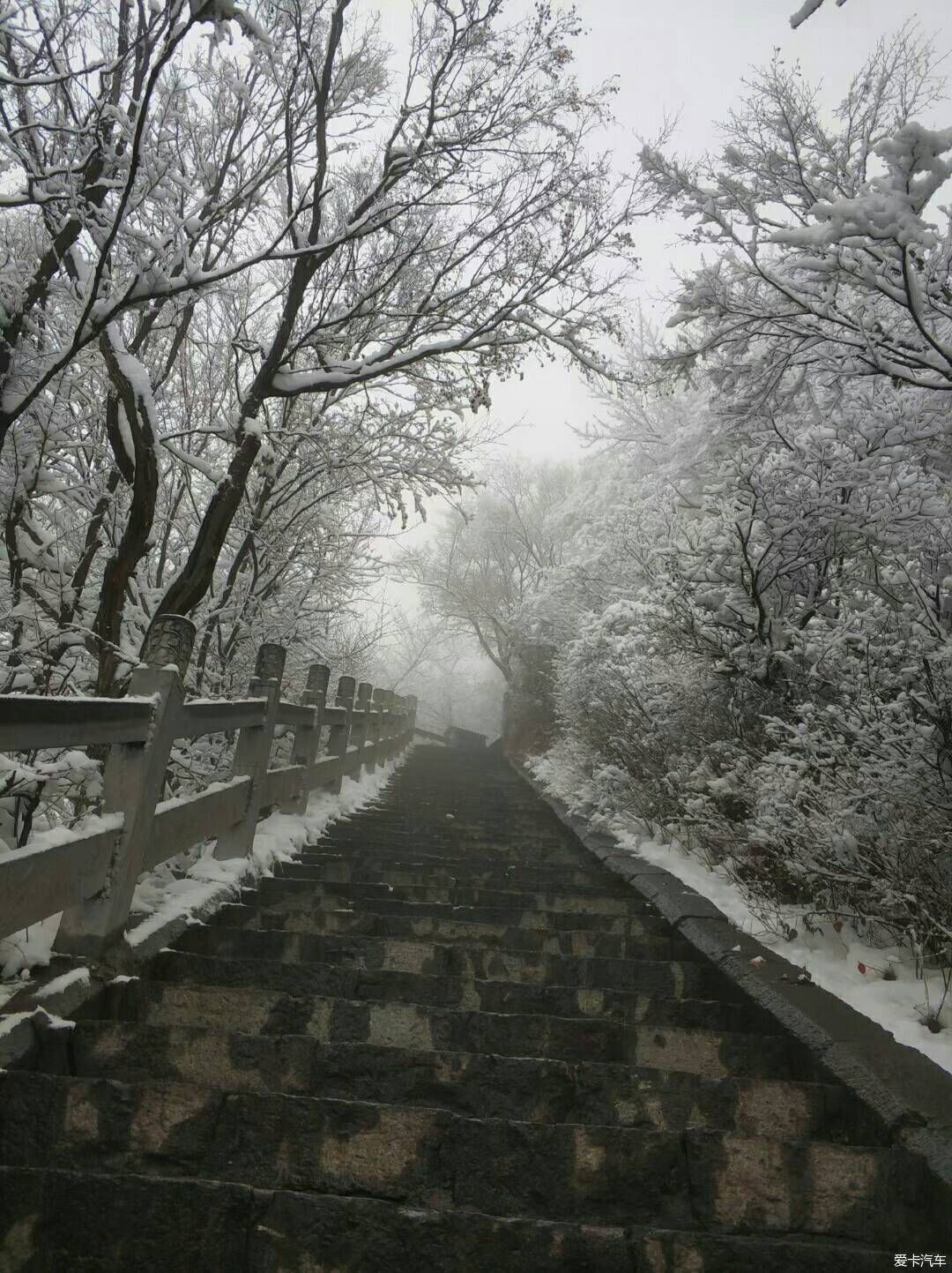 冬天的精灵————雪