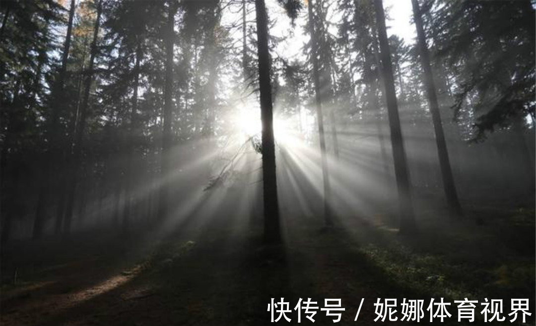 全唐诗&《全唐诗》里很有禅理的一首诗,每一句都是人生箴言,写得很深刻