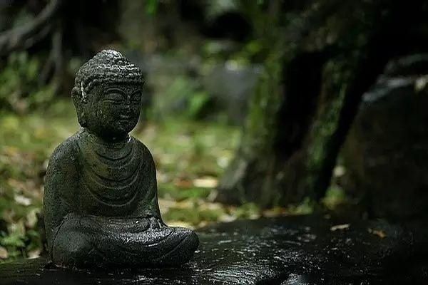 杨慎$千古奇文《韬晦术》,为人、经商、从政必读的枕边书