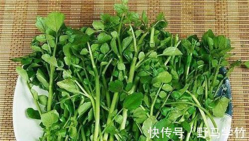 食物|聪明人爱吃3种食物,美容养生、延缓衰老,早吃早健康!