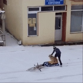 |搞笑GIF:火车站见到的情形,看到这一幕我又相信爱情了