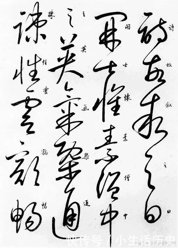 乱书|草书就是乱写乱涂其实不然,下面草书字帖让你正确认识草书