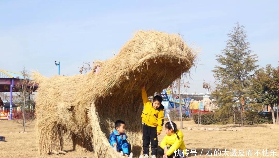 气哭老师的期末试卷，却笑崩网友，太有才了