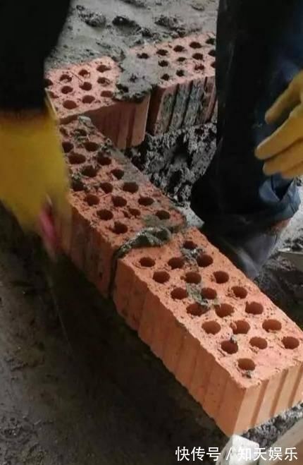 73平|师傅在卫生间砌了半堵墙,邻居看后竟赖着不走,非要师傅去她家装