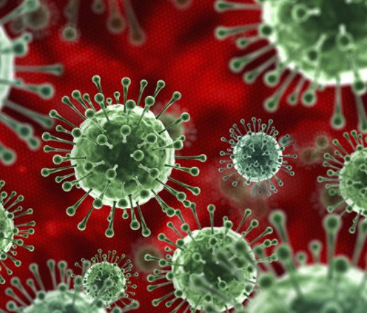 恢复肠道健康，清理累积毒素，推荐益生菌