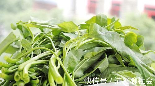 石花菜|便秘不用愁,日常多吃这几样食物,帮你疏通肠道,排便更轻松