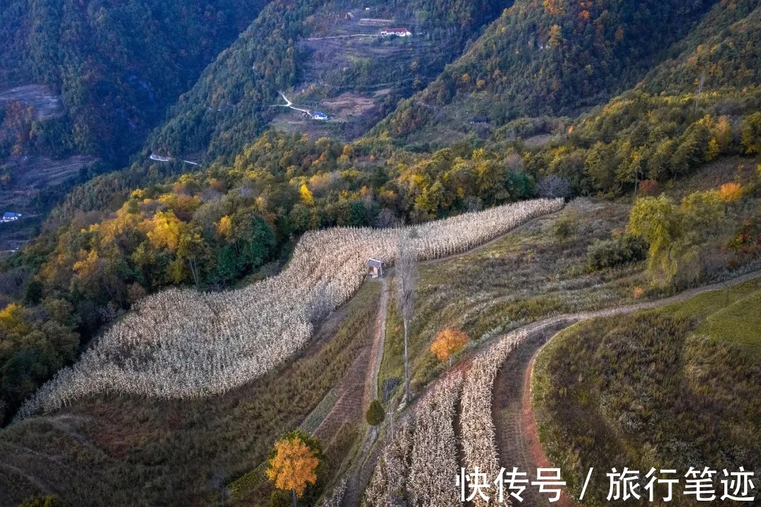 许家山|秘境徒步｜秦岭留坝深处这四条线路，惊艳了整个秋天