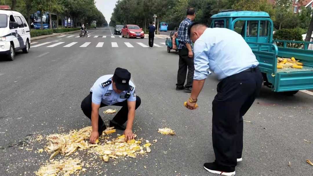 东杨村|他们把国庆假期过成了劳动节