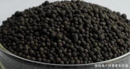 养花施肥,这“4大禁区”莫入,不然适得其反,啥花都会烂根黄叶!