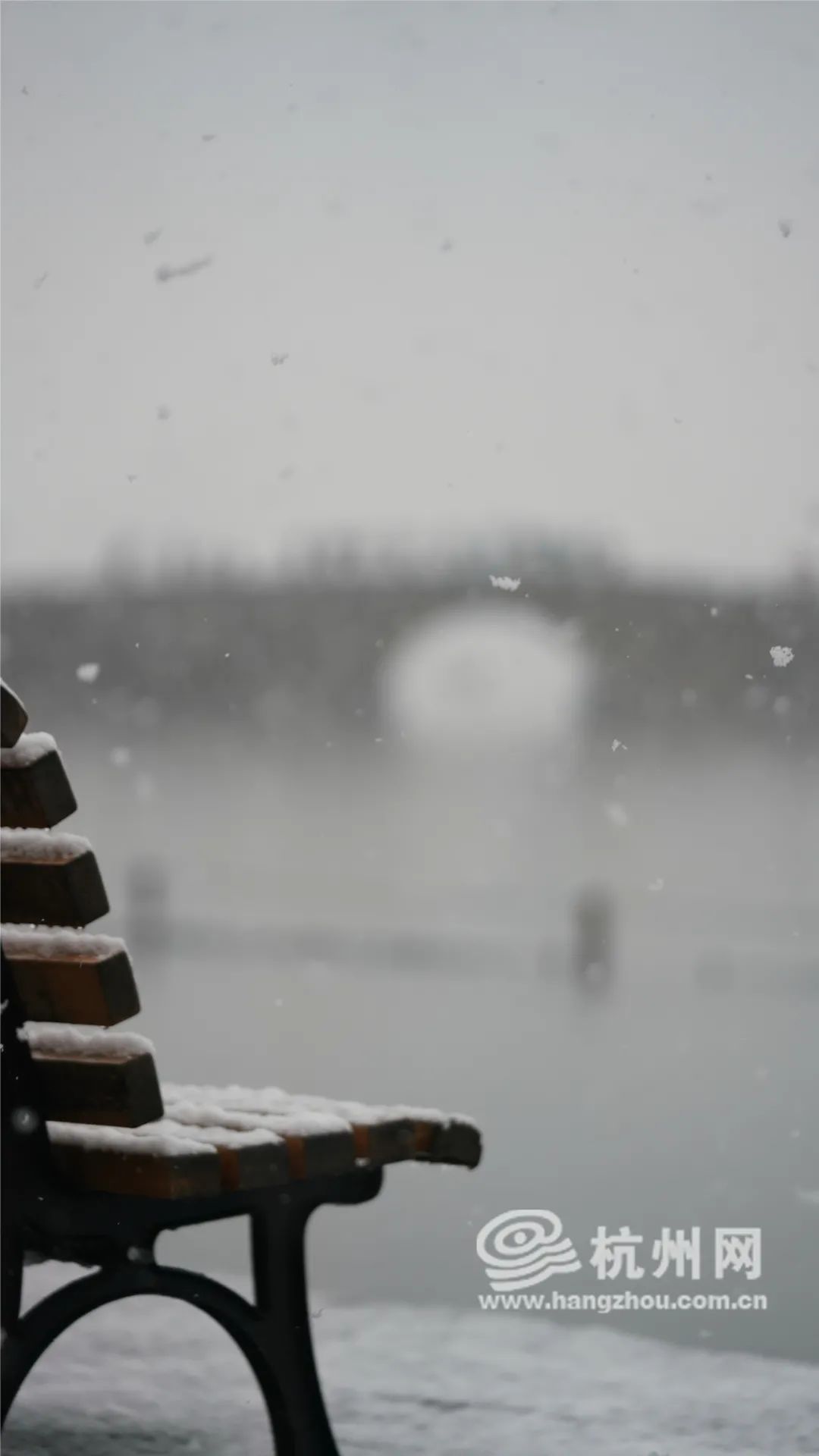 冰雪|今天刷屏的鹅毛大雪十年未见？明早起来能看到冰雪杭城吗？气象台回应