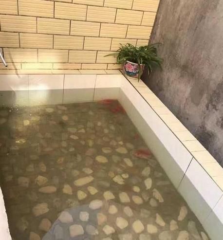 楼梯|农村老家别墅装修完工,庭院养鱼又栽花,旋转楼梯更赞!晒晒