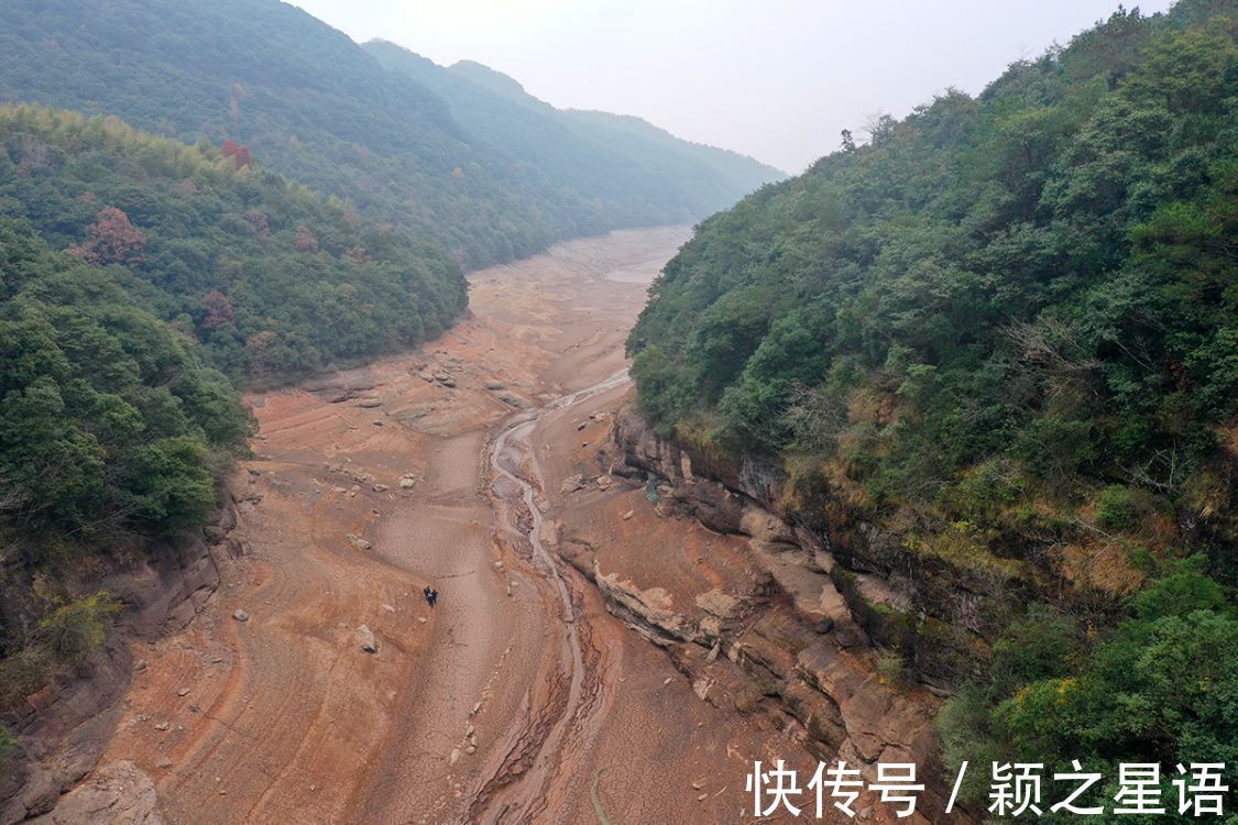 水库|淹没四十多年的古村遗址，重见天日，红杉林隐秘而迷人