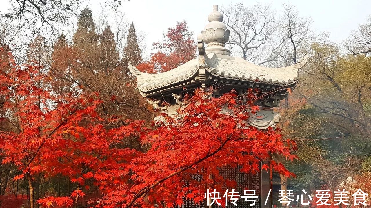 景色|古代皇帝最喜欢的景区，前后19位皇帝来过，一年四季都有不同风景