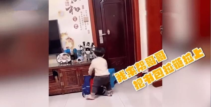 妹妹|为不让哥哥上学迟到,妹妹“操碎心”获高赞,网友:体贴又细心!