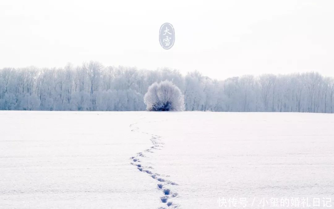  大雪|大雪丨大雪至，寒冬始