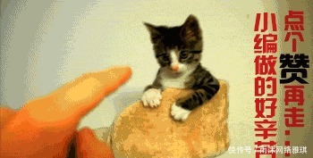 搞笑漫画:先帝创业未半而中道被关羽绝了后!?