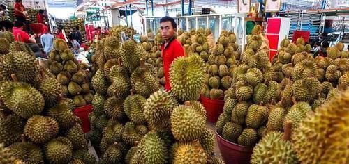 泰国榴莲大量“滞销”，当地商人厚着脸吐槽，中国游客该为此负责