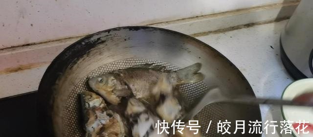野生鲫鱼汤这么烧,汤鲜色白没有刺,宝妈们快收藏好!