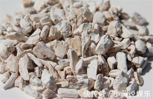 止血|清朝一敷就能止血的金创药,为何突然消失了?仔细看原材料就懂了