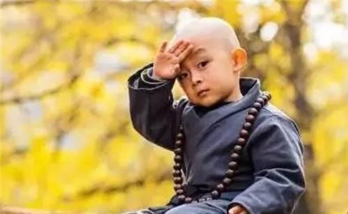 苏轼进寺庙大喊“秃驴何在”，小和尚妙回4字，竟成了千古绝对