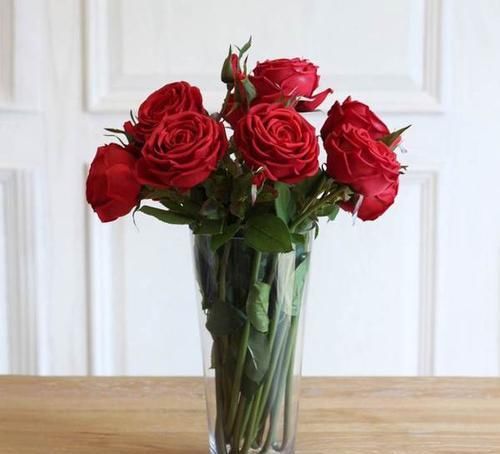 植物|家里万万不要养这几种花，好多人不听劝，难怪身体会越住越差