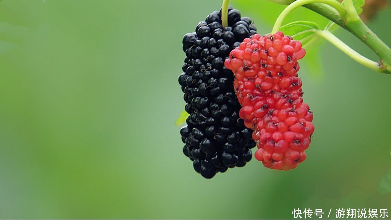 九成孕媽媽不知道,五月多吃四樣水果,能促進寶寶身體發育