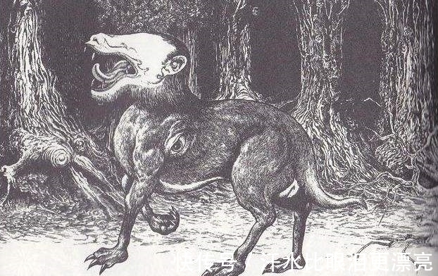 山海经!《山海经》中饕餮现身巴西,人脸豹身样貌骇人,千年前繁衍至今?