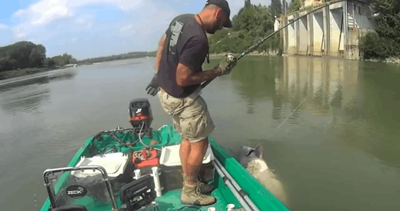 男子湖中钓起250斤重的巨型塘鲺, 拖起细看后果断放生