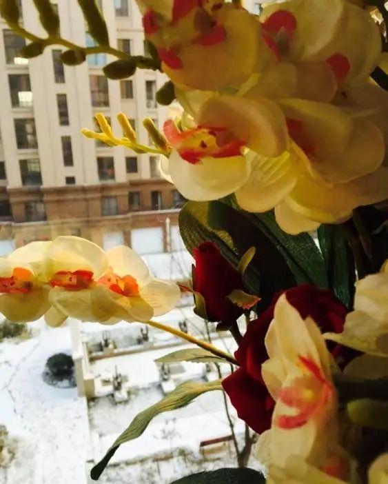 房子|历时半年,老婆50多万将房子装修成宫殿,我只是心疼我的钱!