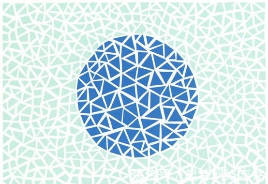 盆花|5张色觉测试图，第3张正着看是金鱼，斜着看是盆花儿