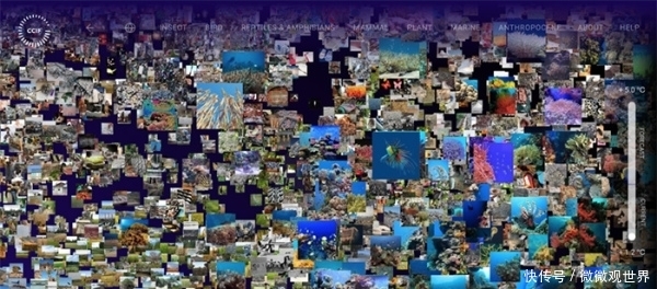 世界地球日聆听地球心跳:解读我们赖以生存的星球数据