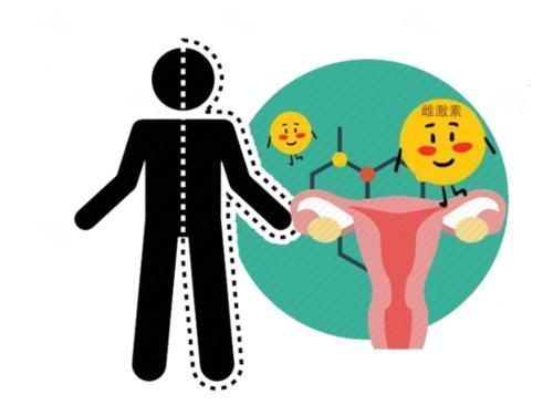 身体|女性绝经晚,说明身体更年轻?医生说出实情,和你想的不太一样