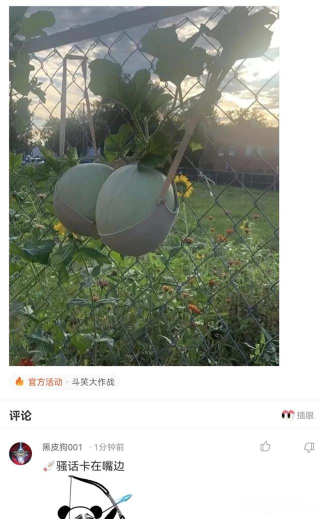 |搞笑神评:你想对你的前任说一句最扎心的话是什么?