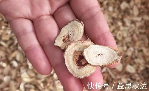 补气|乡下一种珍贵草，人称“黄人参”，地下根茎是宝贝，看到别忽视