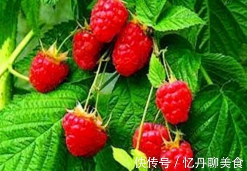 延缓衰老|对身体最好的3种食物,营养丰富、延缓衰老,爱吃就赚了